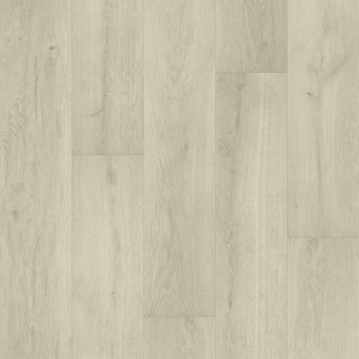 Coconut F051