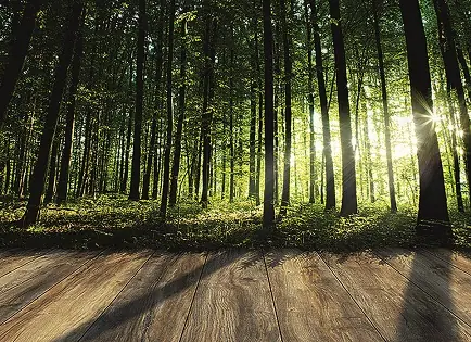 Laminátové plovoucí podlahy My Floor