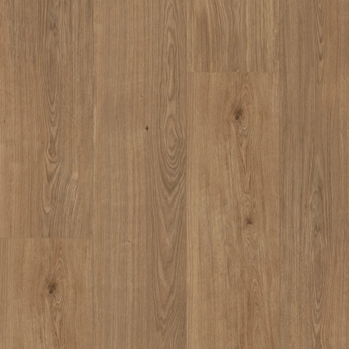 Toffee F098